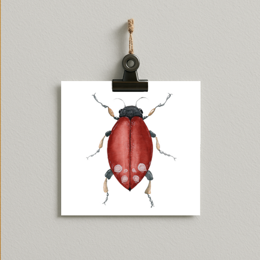 bug#0133 - card