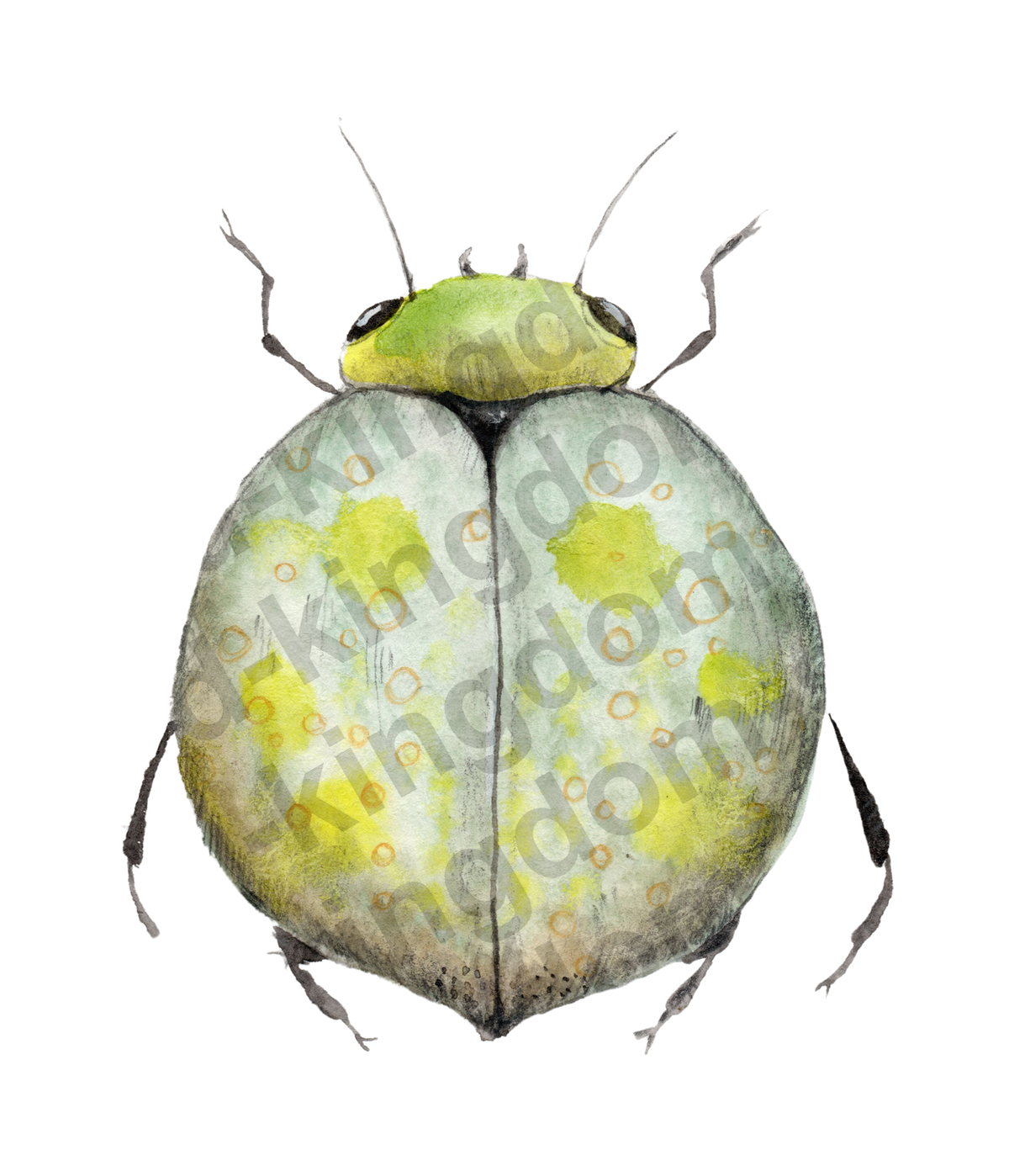 bug#0140 - card