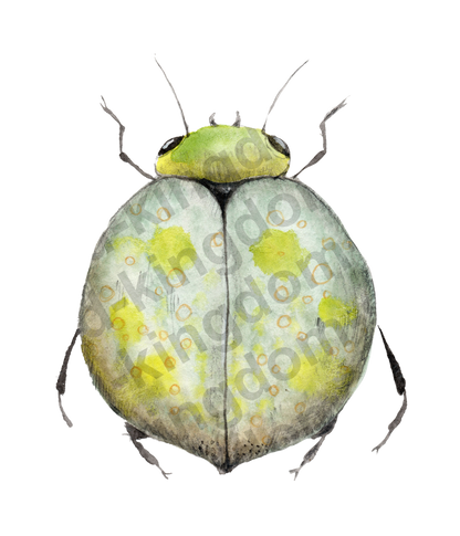 bug#0140 - card
