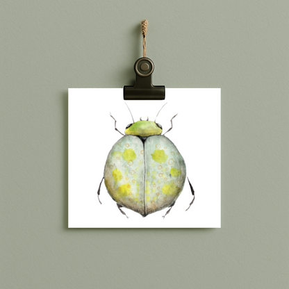 bug#0140 - card