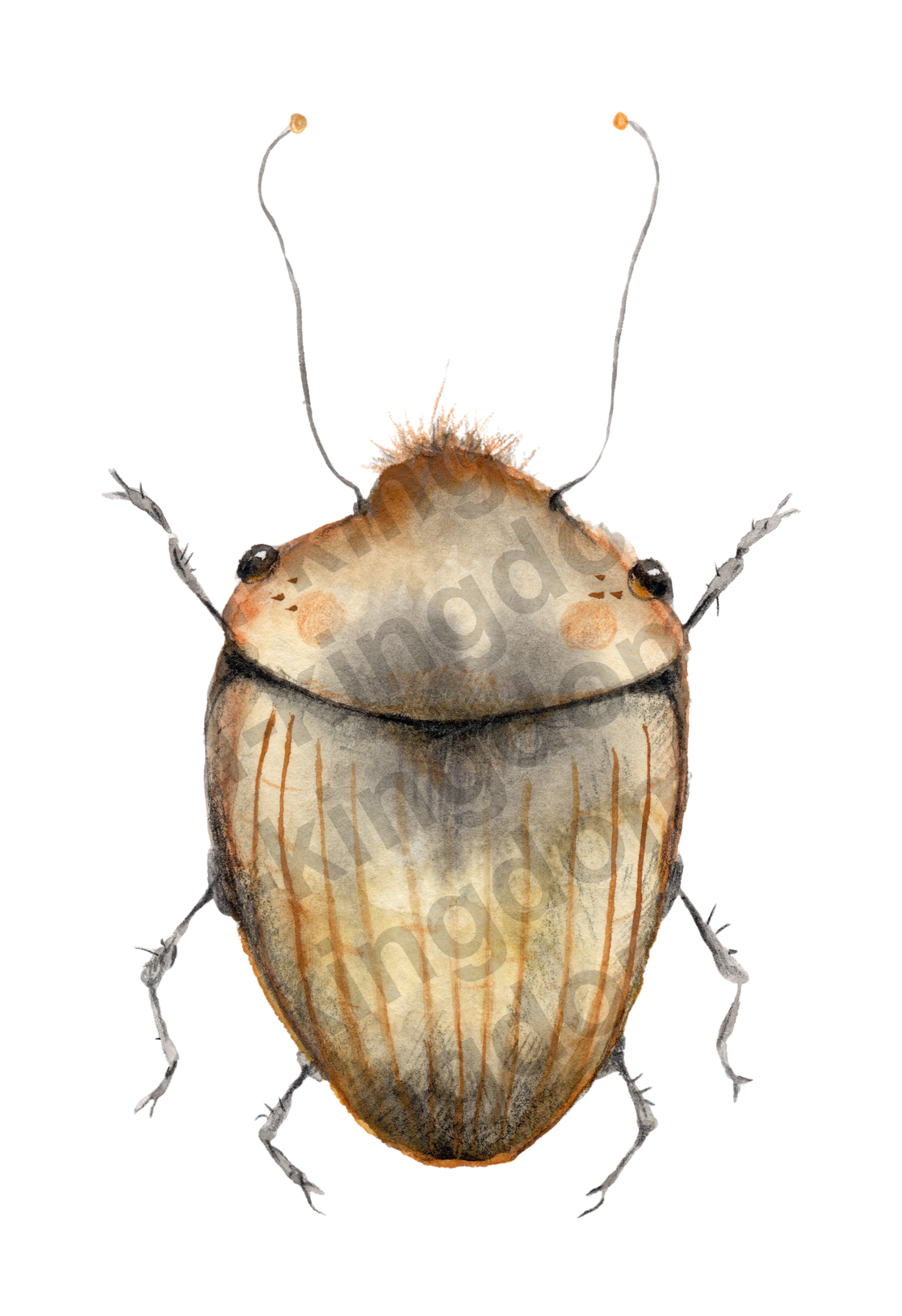 bug#0141 - card