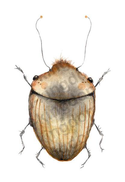 bug#0141 - card