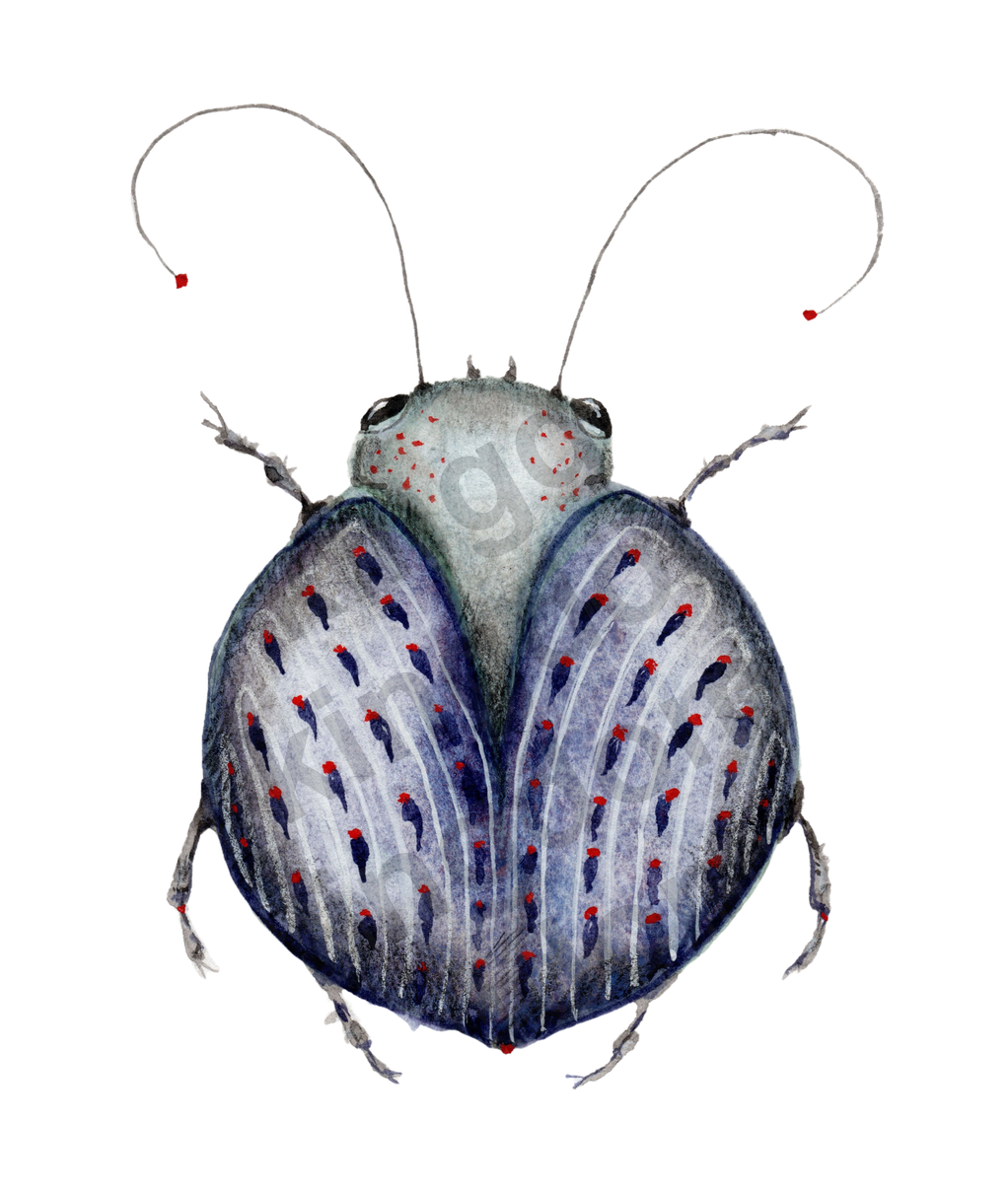 bug#0142 - card