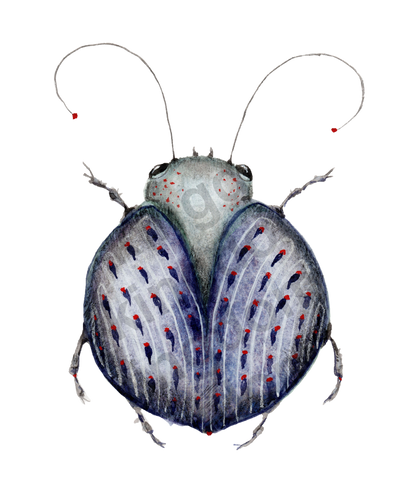bug#0142 - card