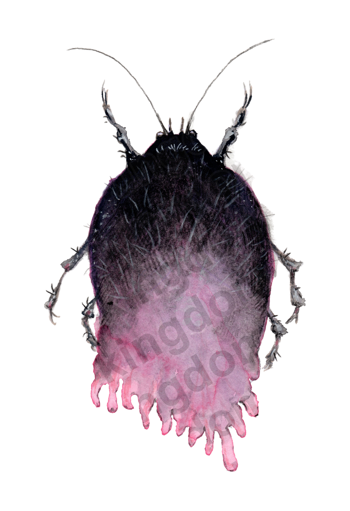 bug#0144 - card