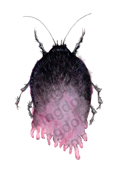 bug#0144 - card
