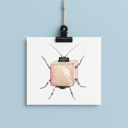 Bug in a Box