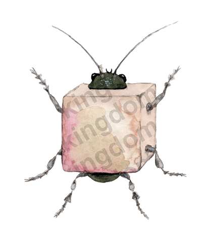 Bug in a Box