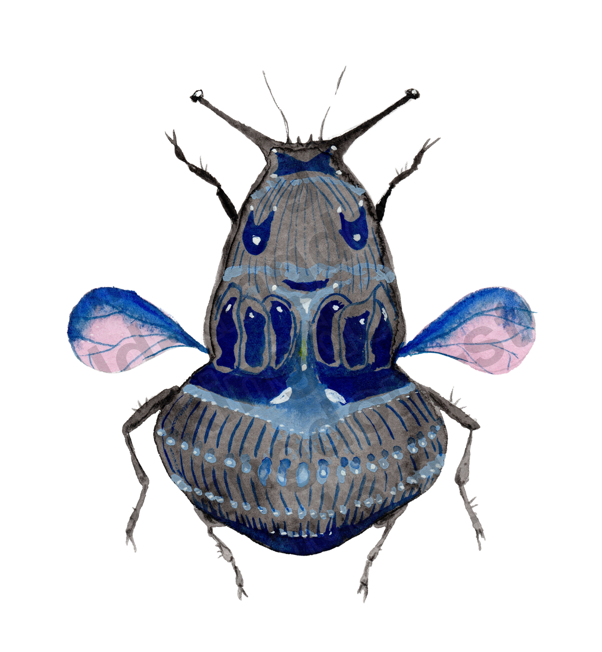 bug#0146 - card