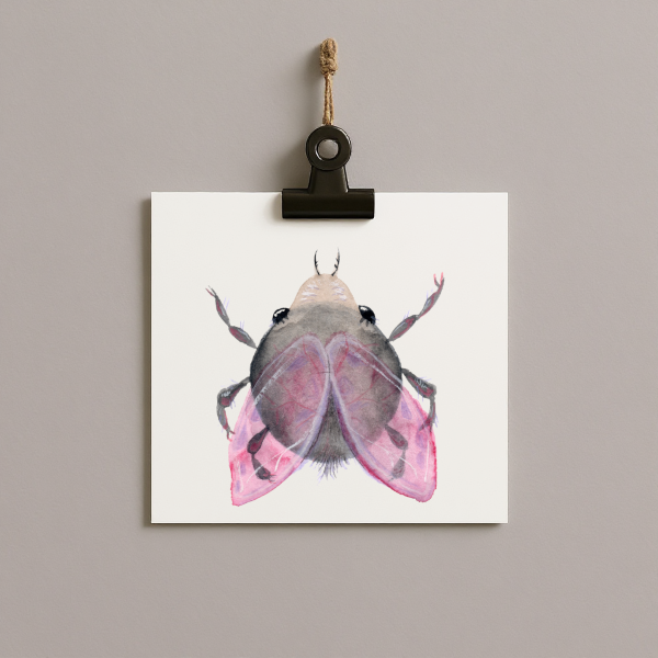 bug#0148 - card
