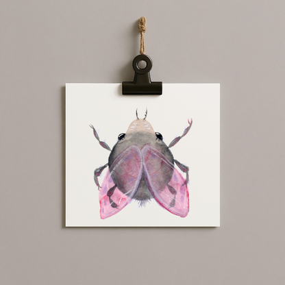bug#0148 - card