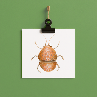 bug#0149 - card