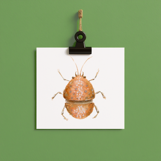 bug#0149 - card