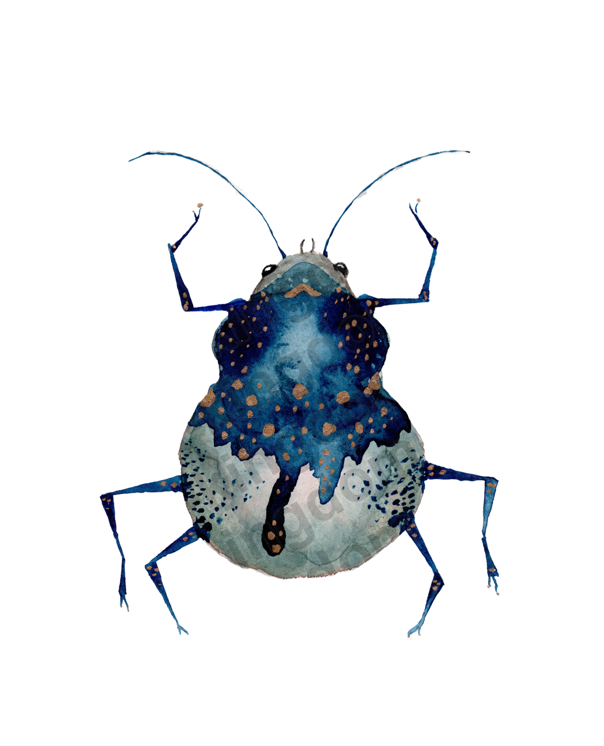 bug#0152 - card