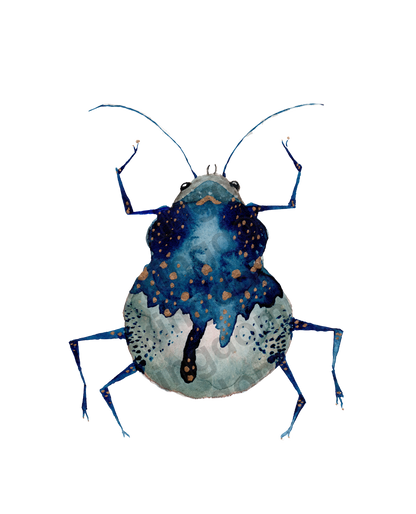 bug#0152 - card