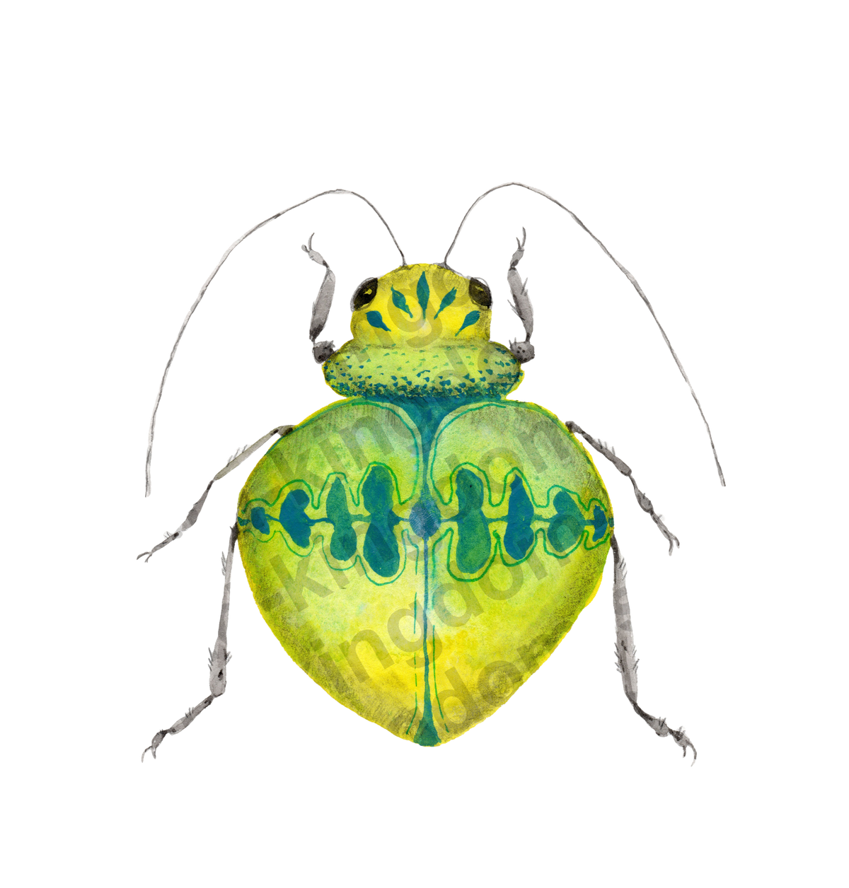 bug#0155 - card
