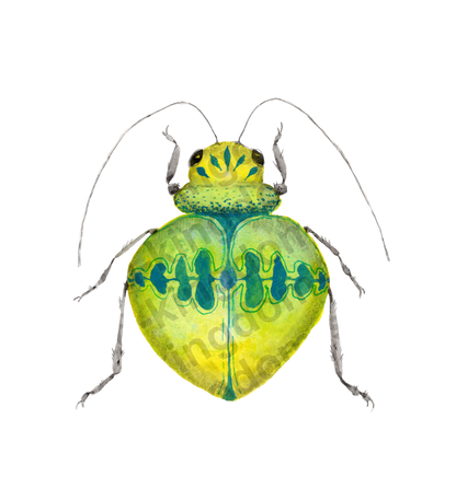bug#0155 - card