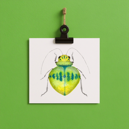 bug#0155 - card