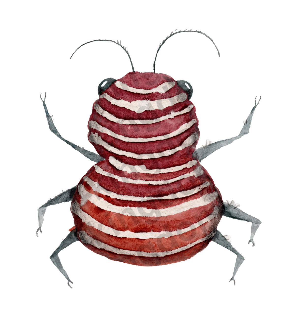 bug#0156 - card