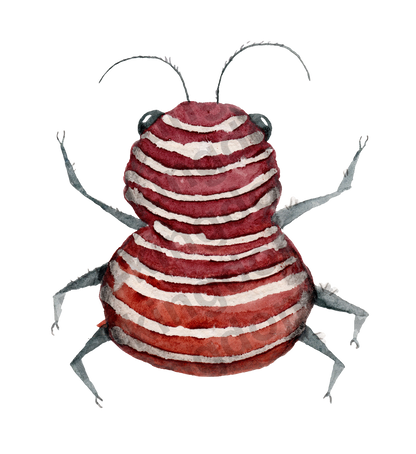 bug#0156 - card