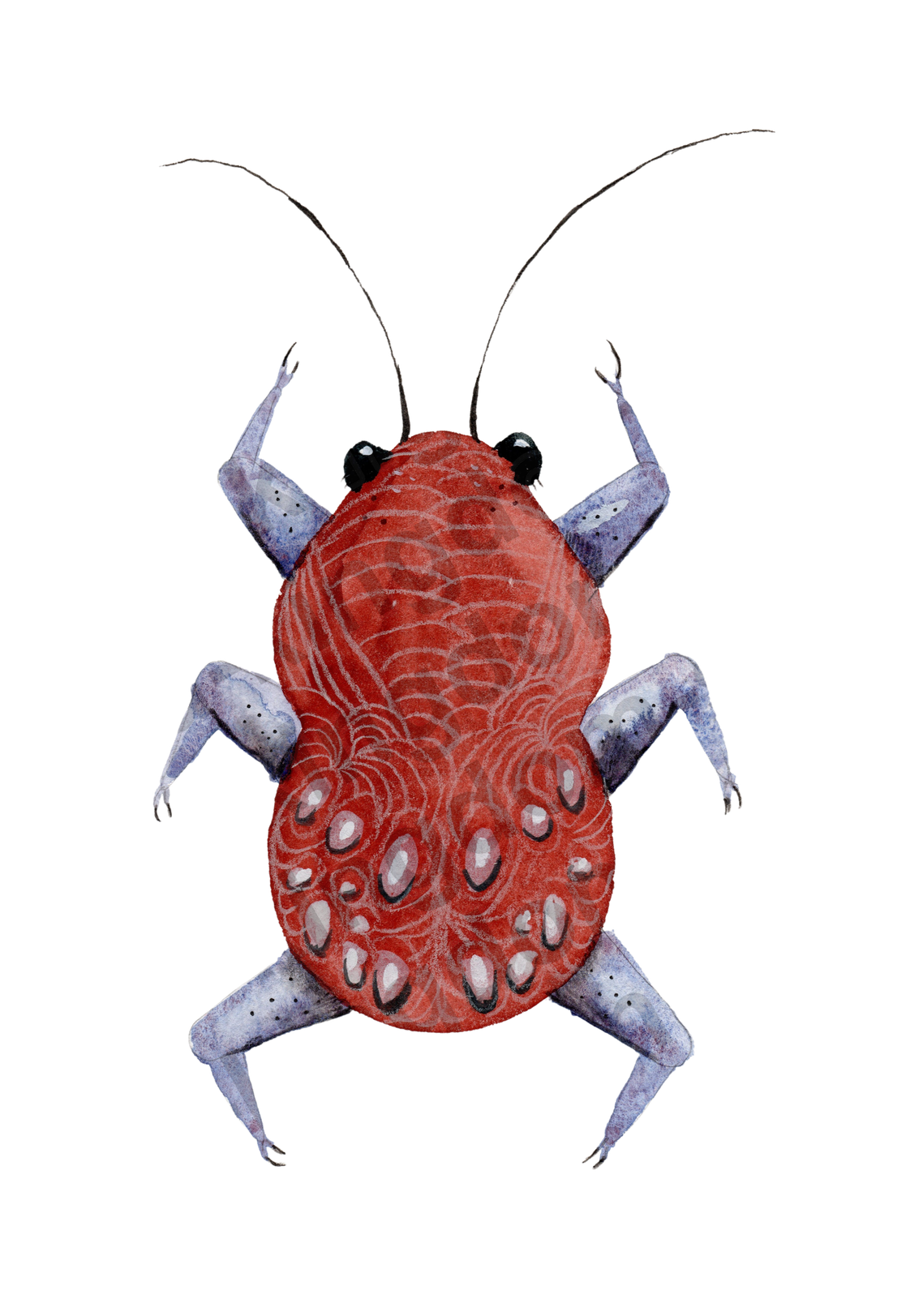 bug#0157 - card