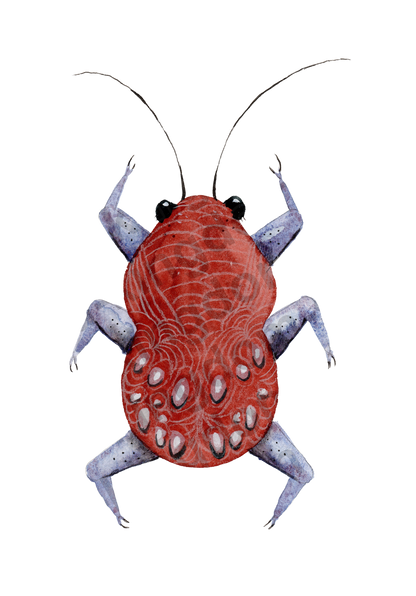 bug#0157 - card