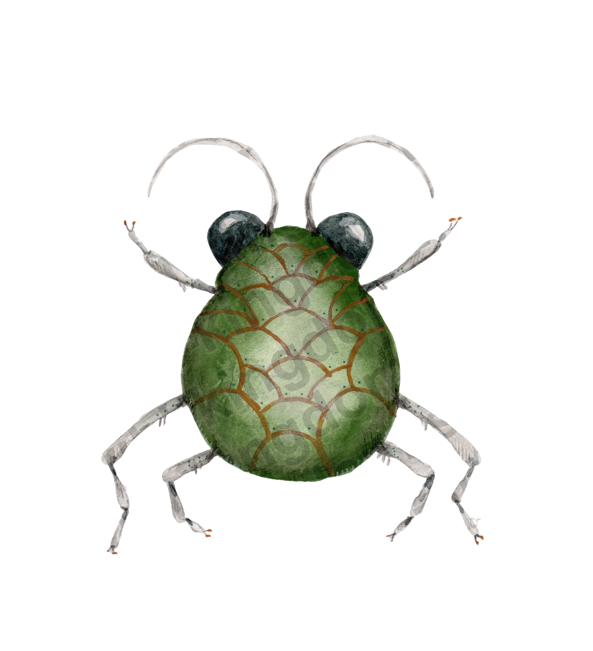 bug#0159 - card