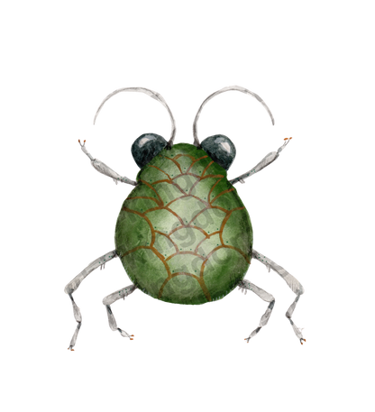 bug#0159 - card