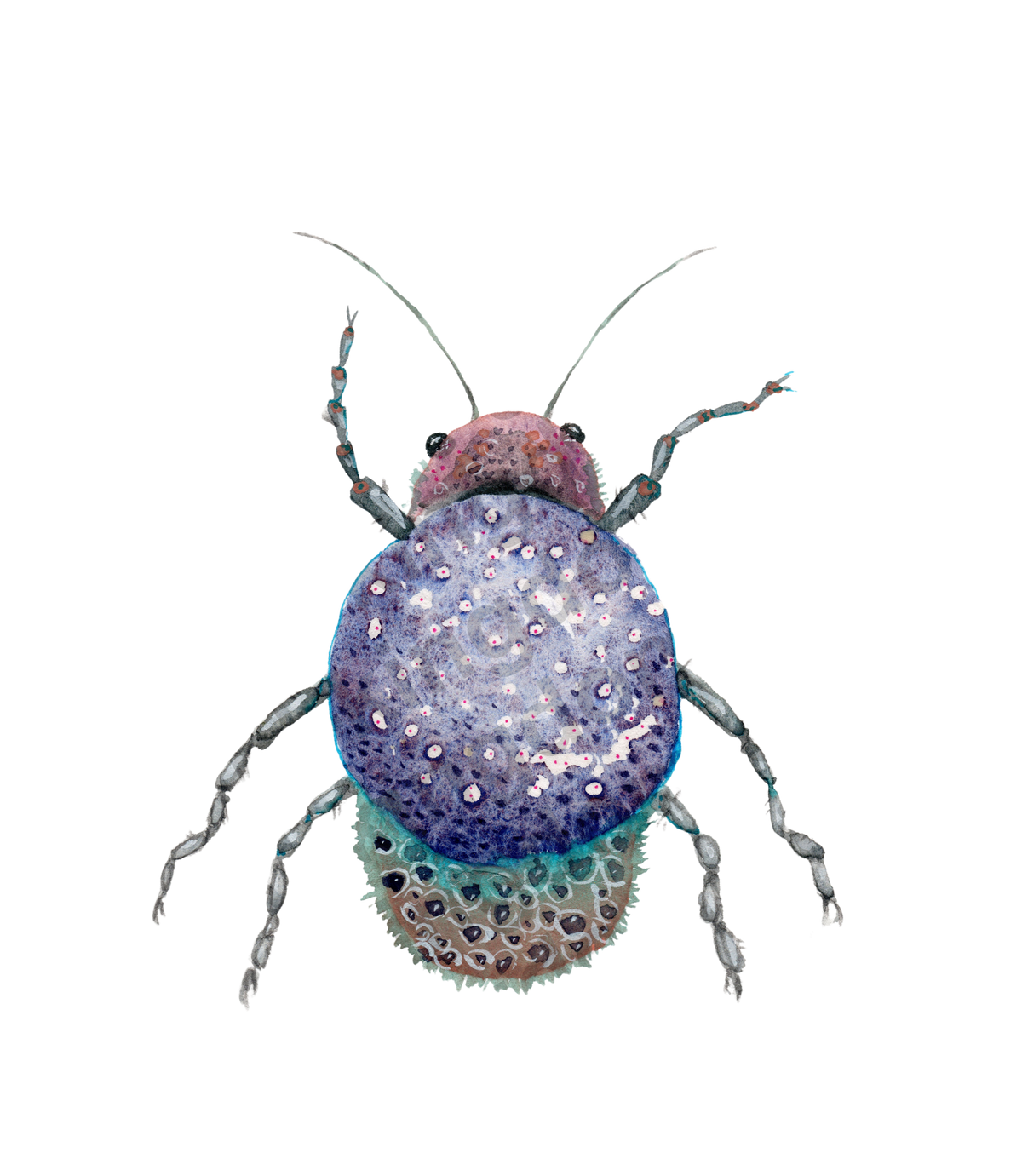 bug#0161 - card