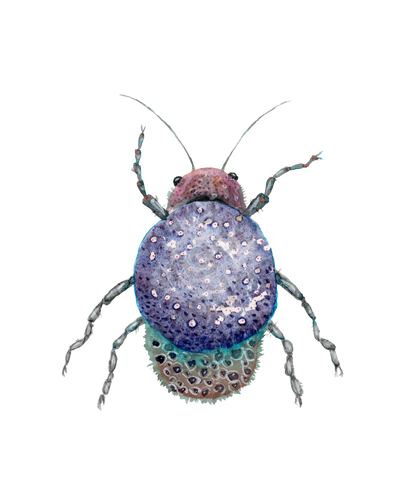 bug#0161 - card