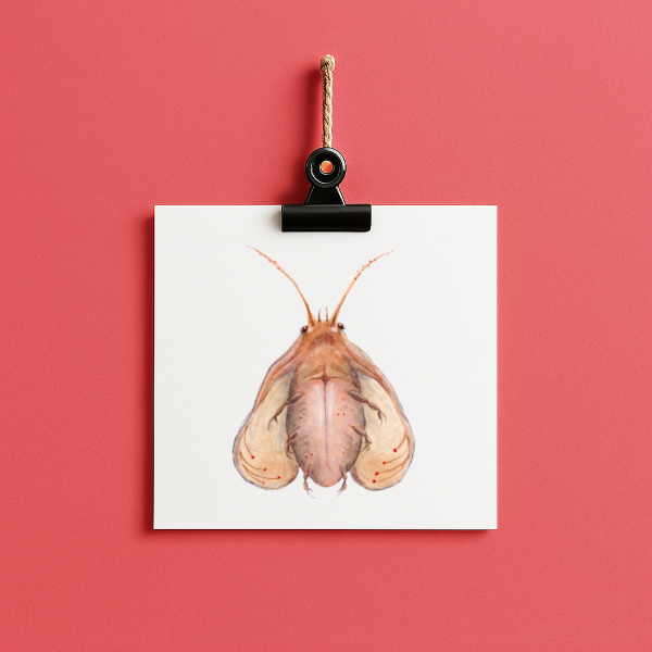 bug#0165- card