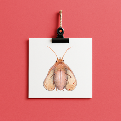 bug#0165- card