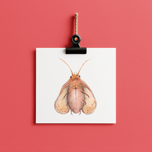 bug#0165- card