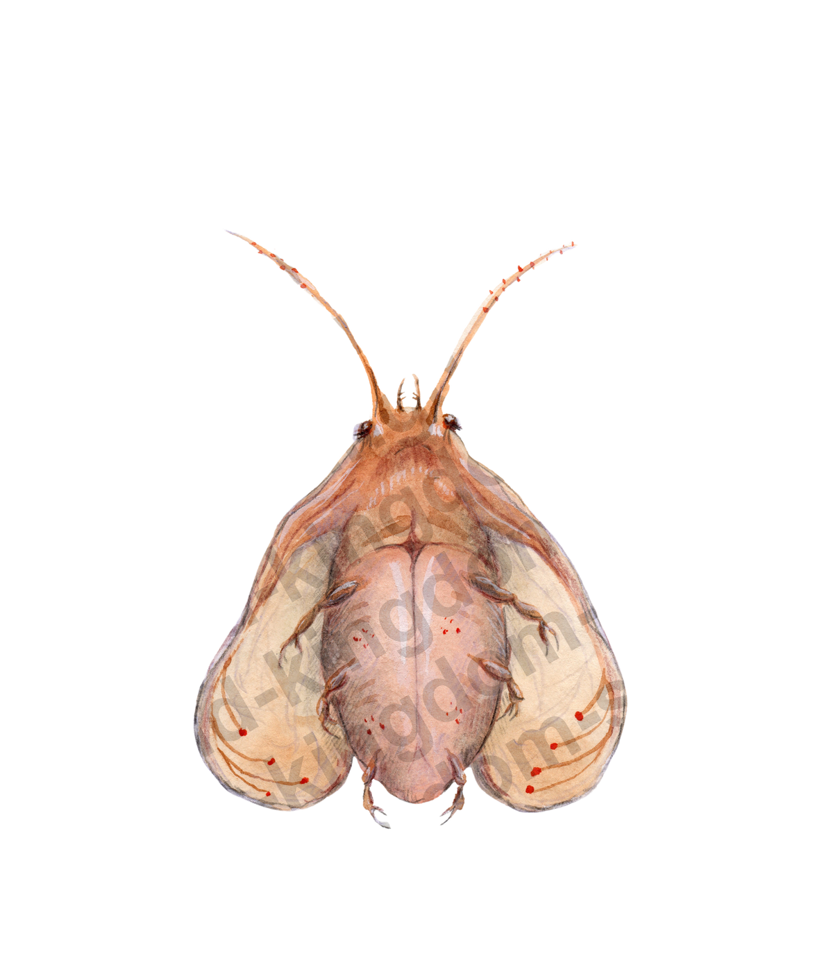 bug#0165- card