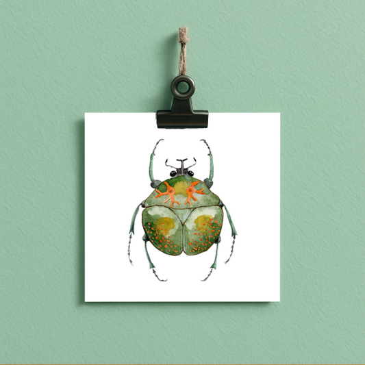 bug#0166 - card