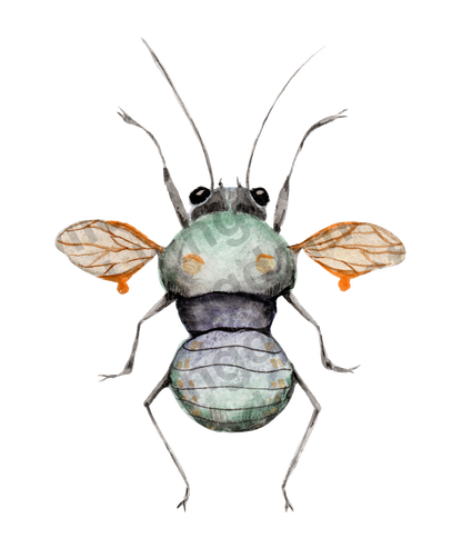 bug#0167 - card