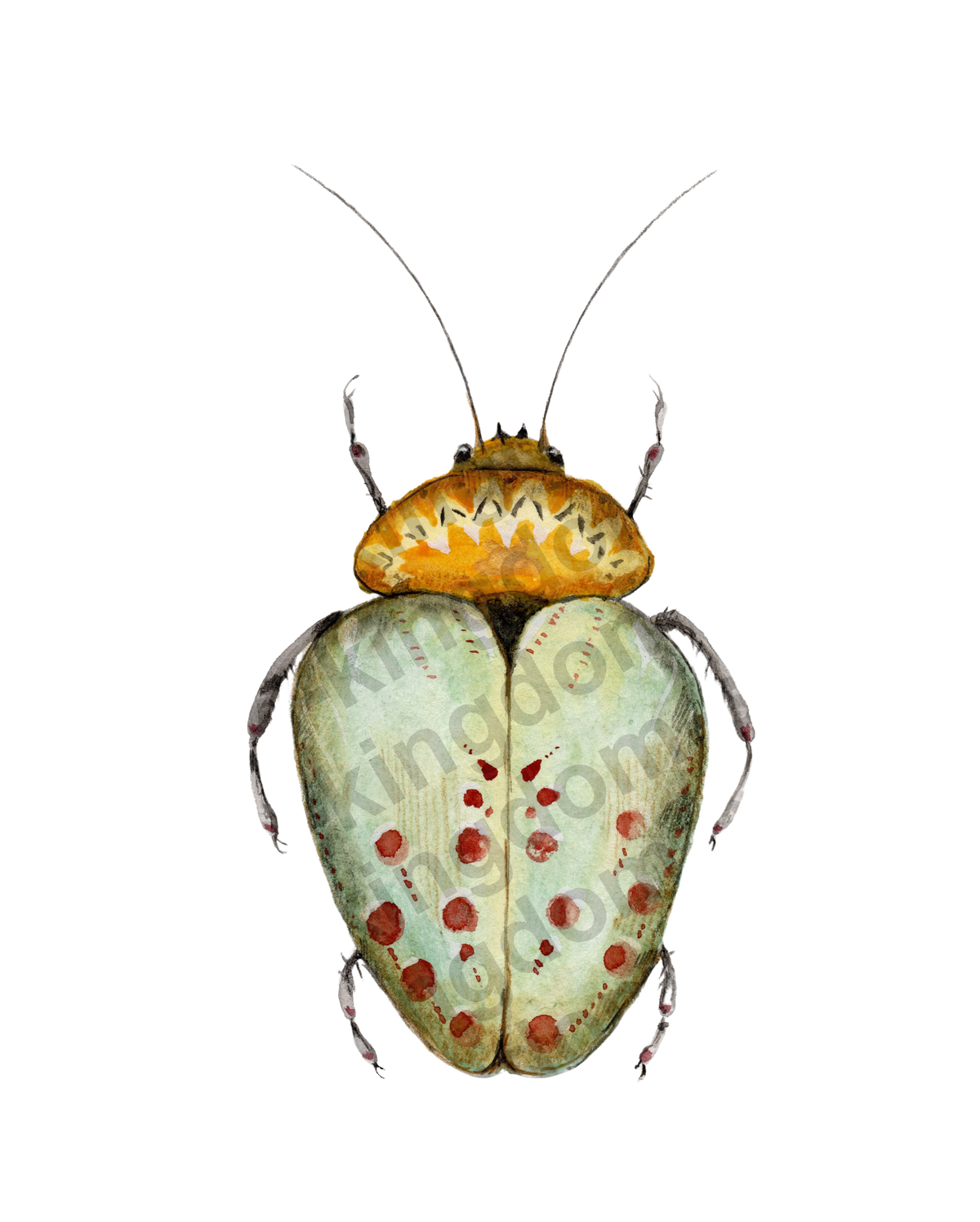 bug#0168 - card