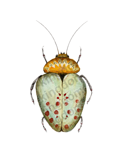 bug#0168 - card