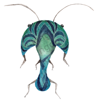 bug#0175 - card