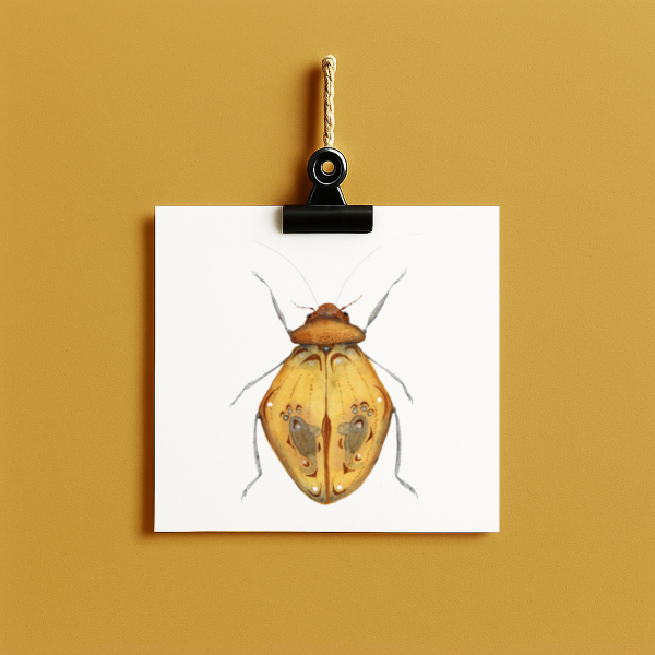 bug#0176 - card