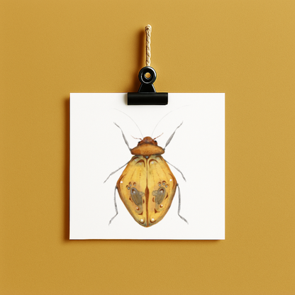 bug#0176 - card