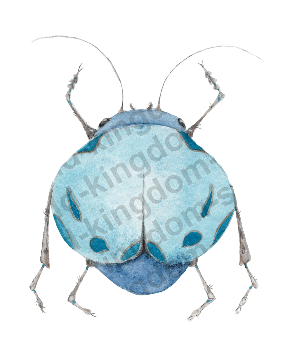 bug#0178 - card