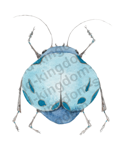 bug#0178 - card