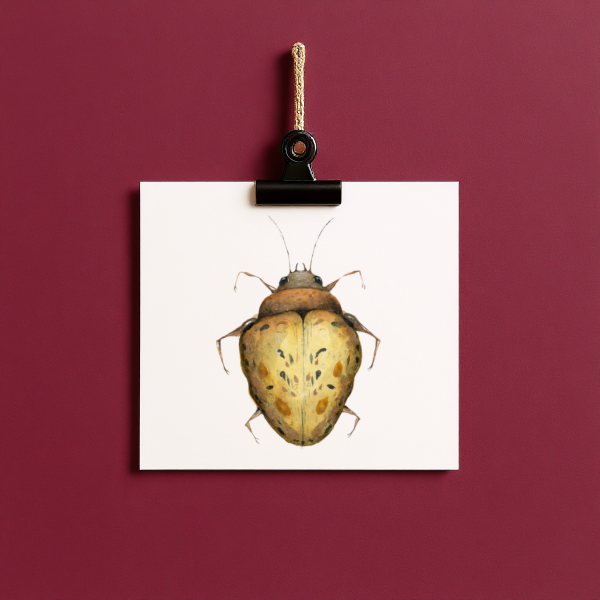 bug#0179 - card