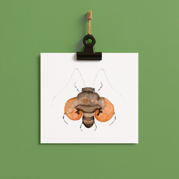 bug#0180 - card