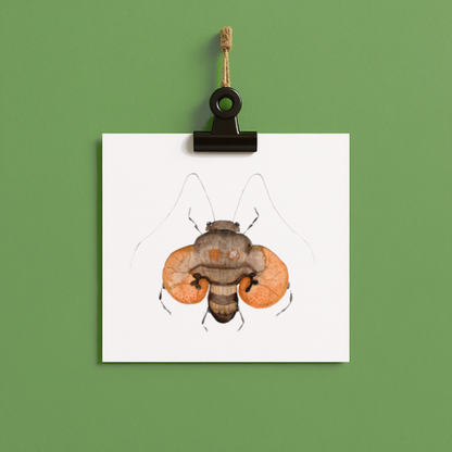 bug#0180 - card