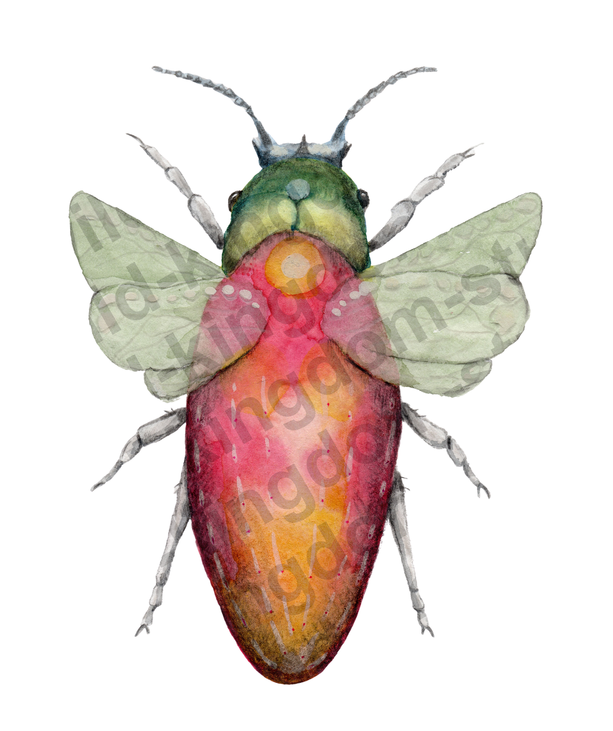 bug#0181 - card