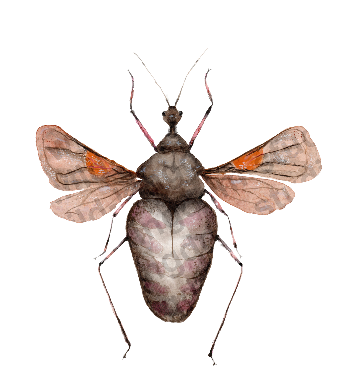 bug#0188 - card