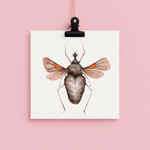 bug#0188 - card