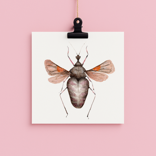 bug#0188 - card